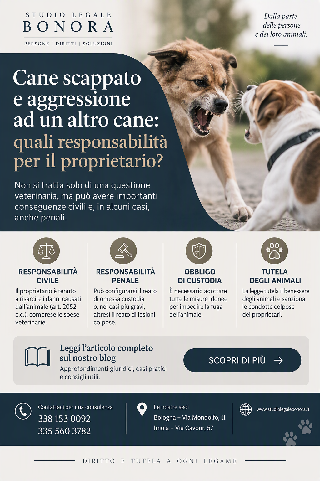 cani che aggrediscono